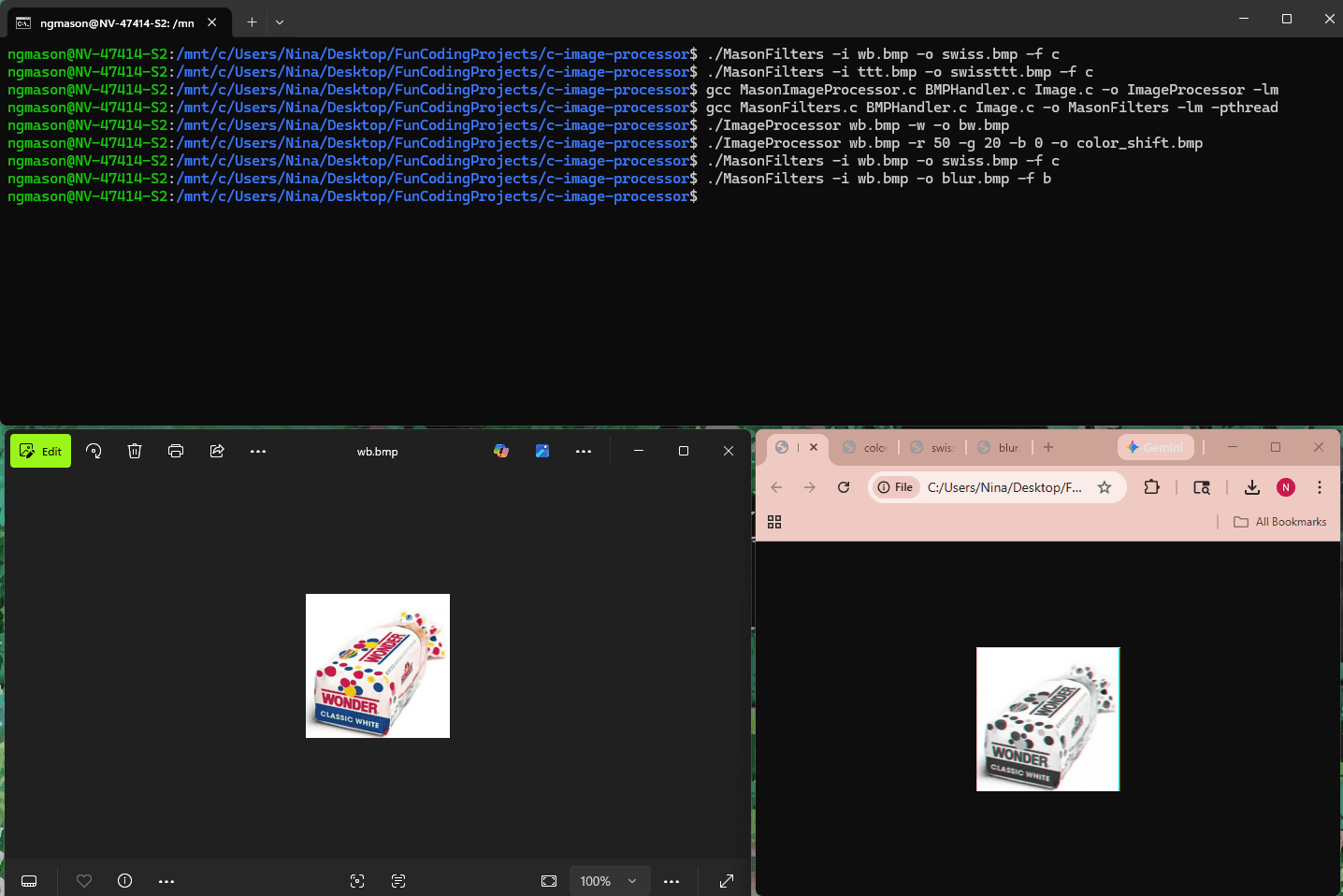 Project screenshot 1